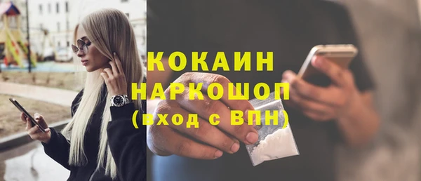 прущие грибы Покров