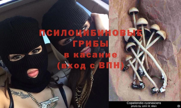 МДМА Приозерск