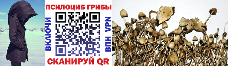 Галлюциногенные грибы Psilocybine cubensis  Купить  Шали 